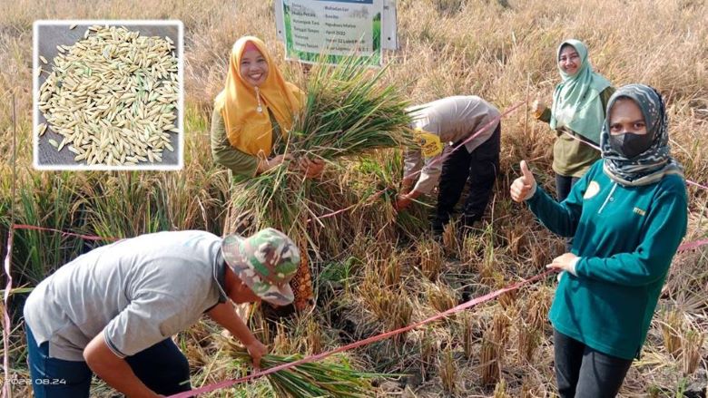 Kegiatan Sekolah Lapang (SL) IPDMIP Tahun Anggaran 2022 Desa Babadan Lor
